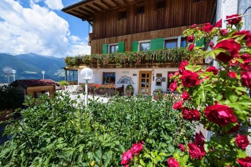 B & B Apartments Ortlerblick 2 stelle a Sluderno