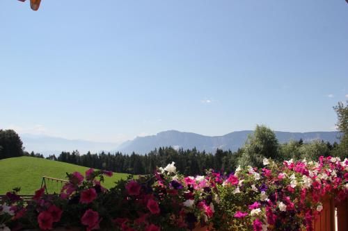 Gasthof St. Ulrich 2