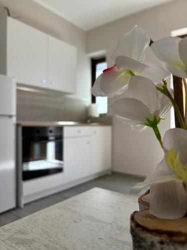 Borgo Albergo Vulturis 2