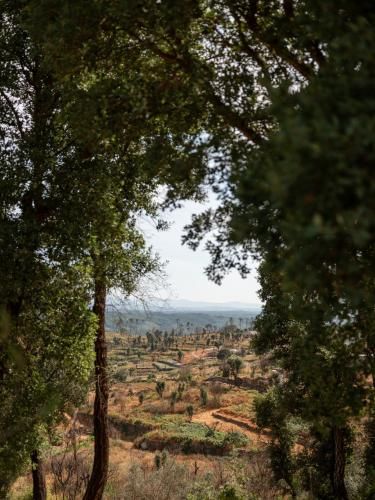 Oakstone Hills 2