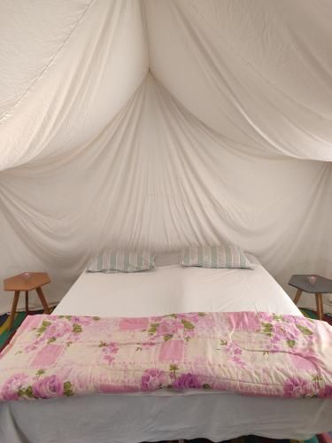 Campement Sahara Oasis Douz 2