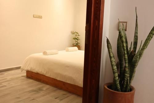 Tamraght Surf House 3