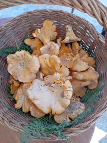 Hotel Ristorante Sturno 2