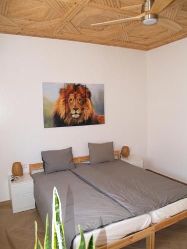 Dar Makai Surf Hotel -1 estrellas en Tamraght Ouzdar