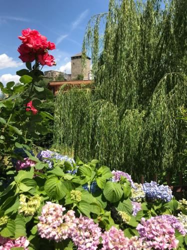 Pension an der Mayenburg 3