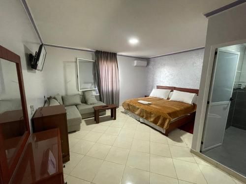 Hotel MASSINE 3