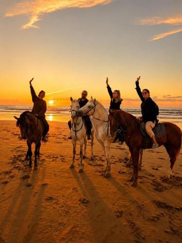 Dar Sahbi Surf & Horse 2