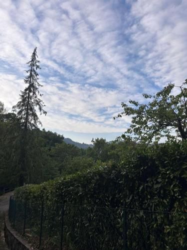 Appennino nord 3