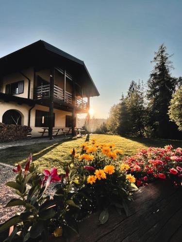 Forest Camp Val di Gresta 2