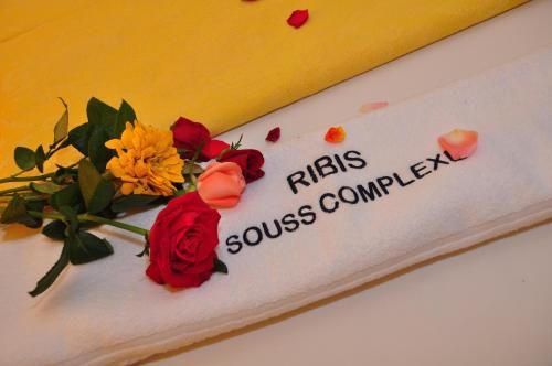 Hotel Ribis 2