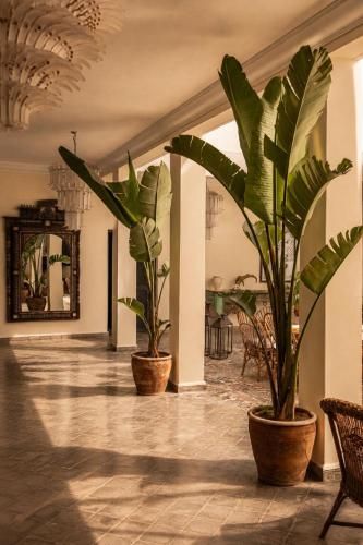 Casa Lalla Hotel Rural 3