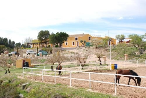 Complejo Rural Las Lomas de Biar -1 estrellas en Biar