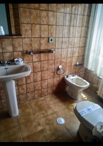 Hotel Benalua 3