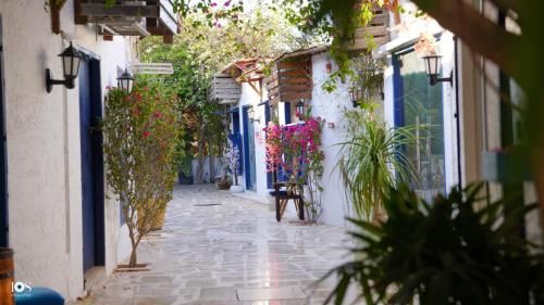 The Avenue 3