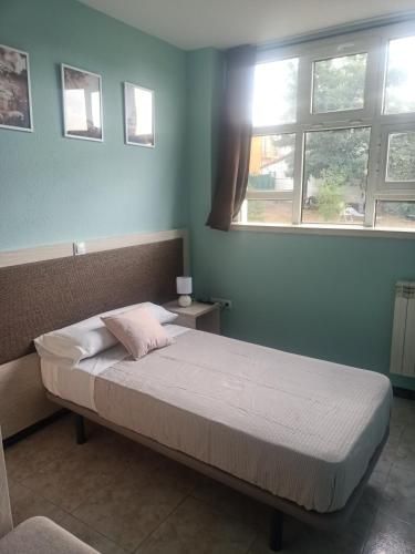 Hostal Camino micológico 2