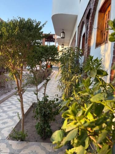 Amenhotep Hotel 2