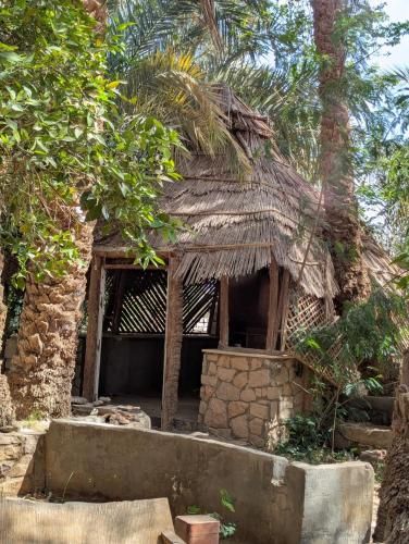 Old Oasis Hotel for Safari Trips 2