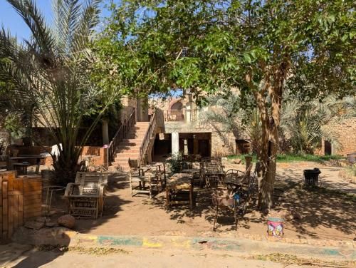 Old Oasis Hotel for Safari Trips 3