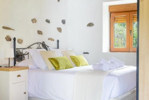 Quinta Entre Palmeras - Viviendas Vacacionales 3