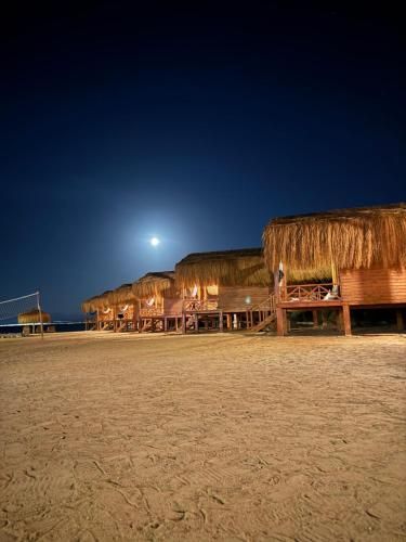Love beach camp 3