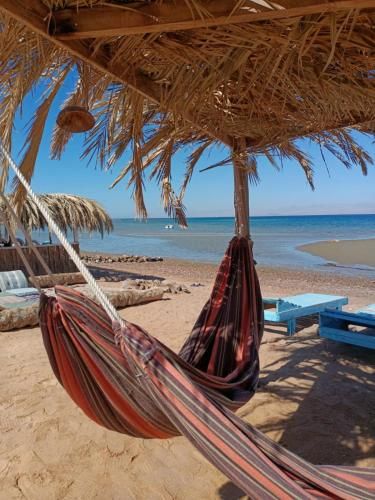 blue Bird -1 estrellas en Nuweiba`