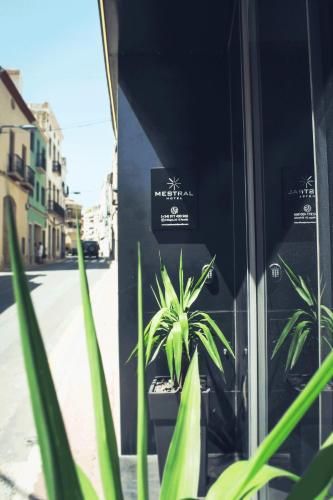 Hotel Mestral Perelló 2