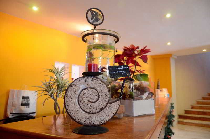 Caribbean Paradise Boutique Hotel 1 Caribbean Paradise Boutique Hotel 1