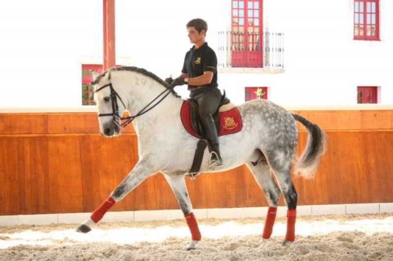 Solar Do espirito Santo 2