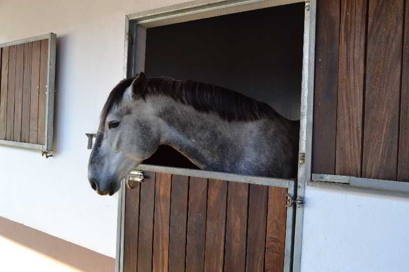 Solar Do espirito Santo 3