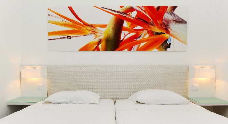 Dorisol Estrelicia 3