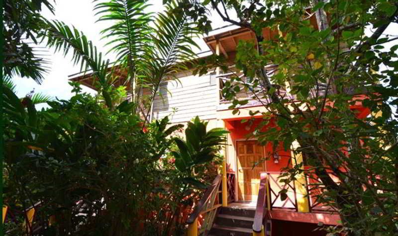 Bay View Eco Resort and Spa 3