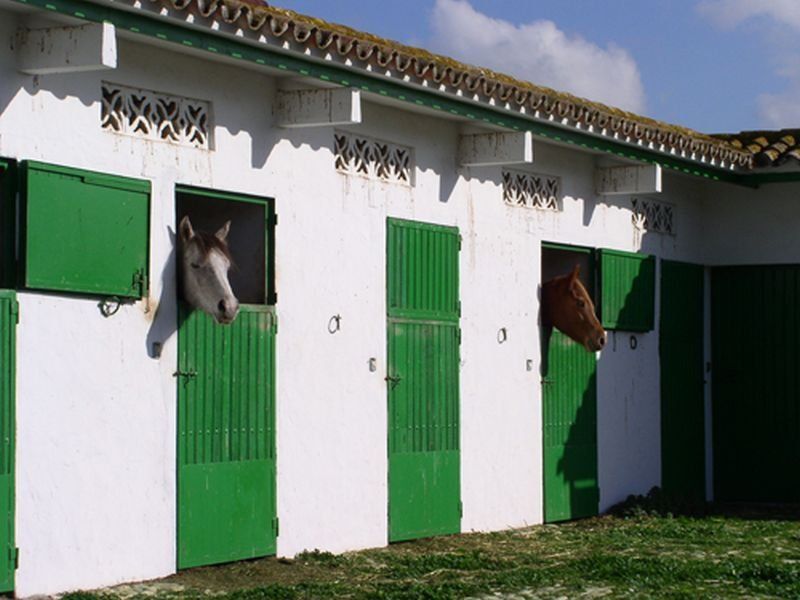 Cortijo Las Piñas 1