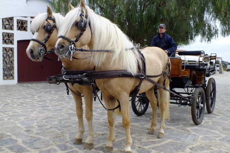 Horta da Moura by WOT Signature 2