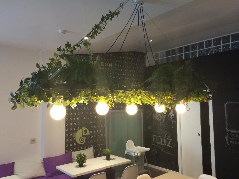 Chameleon Hostel Alicante 3