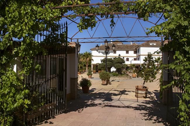 DOMUS SELECTA FINCA ESLAVA 1