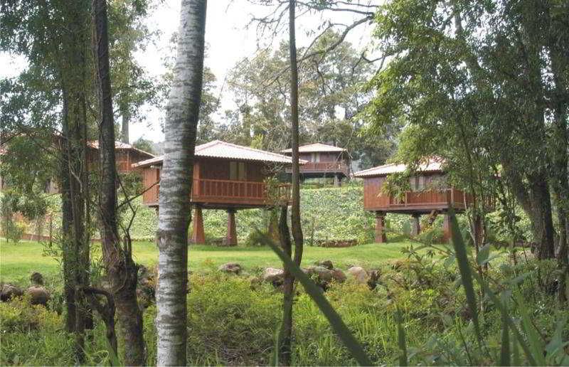 Quinta Das Eiras 2