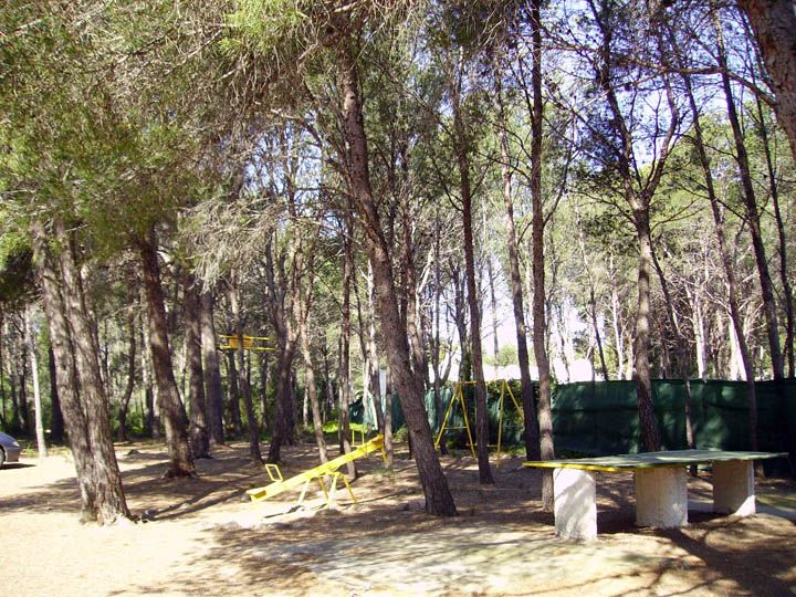 Apartamentos El Pinar 2