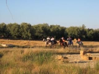 Hotel Rural La Paloma 3