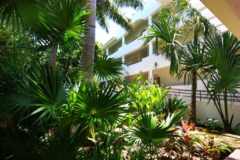 Riviera Maya Suites 2